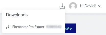 Elementor pro in Elementor Oberfläche herunterladen