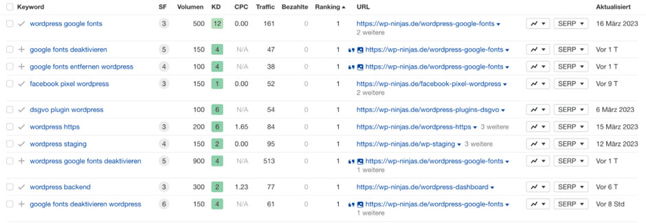 Auswertung einer WordPress Website im Google Ranking