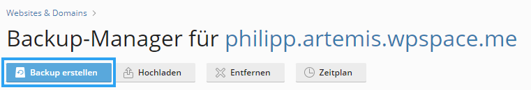 Screenshot Backup erstellen in Hosting Oberfläche