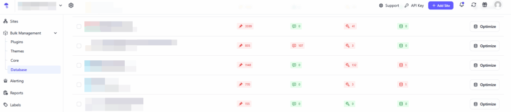 Datenbankoptimierung in WP Umbrella