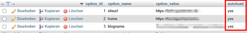wp_options bereinigen durch Optimierung von Einträgen mit Autoload yes