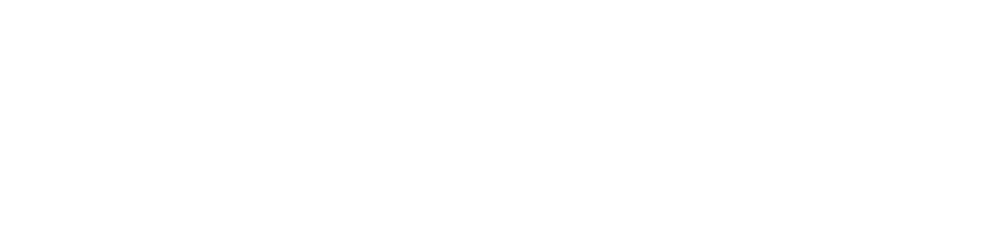 WP Ninjas Logo